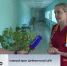 Владимир Путин наградил коллектив Шебекинской ЦРБ орденом Пирогова - Fonar.Tv