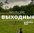 Тагильские выходные топ-8: творчество под открытым небом, истории о лошадях, театр на улице, пиратское шоу, день рождения диджея и благотворительный ультрамарафон - Между Строк