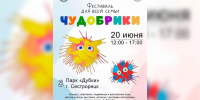 В Петербурге пройдет III Фестиваль искусств и семейного творчества «Чудобрики 2026» - Петербургский дневник