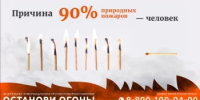 Напоминаем оренбуржцам о правилах поведения в случае возникновения лесного пожара - Министерство природных ресурсов