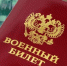На Смоленщине меняются условия предоставления бесплатного земельного участка участникам СВО - Смоленск 2.0