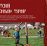 Спортивные турниры проведут на фестивале «Довмонт Псковский» - Pln-Pskov.Ru