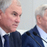 Вячеслав Володин: ГД мониторит исполнение закона о повышении качества детского отдыха - Областная Дума