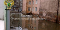 Жильцы довоенного дома на ул. Клавы Назаровой добились новых квартир - NewKaliningrad.Ru
