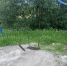 img - ЛДПР
