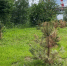 cherinfo.ru - Cher-Poisk.Ru