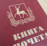 Проекты решений о присвоении почетных званий рассмотрят члены постоянной комиссии Думы по местному самоуправлению - Городская Дума