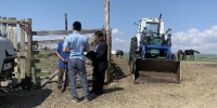 Мэрия города провела профилактические рейды на чабанских стоянках, расположенных на территории Кызыла - Администрация г. Кызыл