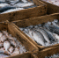 В России назвали регионы с наибольшими закупками рыбной продукции - Телекомпания ТВ-21