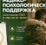 Единый федеральный медико-психологический чат поддержки КСВО начинает работу в социальной сети ВКонтакте - РТВ-Подмосковье