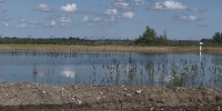 Паводок в Крымском районе: под водой более 11 тысяч гектаров, ущерб затронул десятки аграрных хозяйств - Югополис