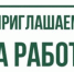 Объявление о вакансии. - Стародубский муниципальный округ