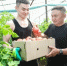 Огурцы, кабачки, томаты: местная овощная продукция поступает на прилавки Оренбуржья - Министерство сельского хозяйства