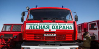 В лесах двух регионов СФО и одного района Иркутской области введен режим ЧС - Baikal24.Ru