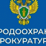 Саратовская межрайонная природоохранная прокуратура разъясняет. - Пугачёвский район