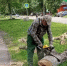 В Детском парке ликвидировали зараженные деревья - Progorod58.Ru