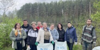 Волонтёры очистили более 20 километров берегов водоёмов Новгородской области в рамках акции «Вода России» - ИА Великий Новгород.ру