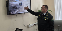 Камеры и фотоловушки: как Ленобласть защищает леса - Комитет по природным ресурсам