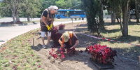В Нахимовском районе обновляют клумбы - Правительство Севастополя