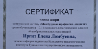 Педагогический музей: эксперт конкурса эссе на тему «Стать педагогом – для меня значит…» - ТувГУ