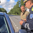 В Рузском округе автомобилистам рассказали об опасности встреч с дикими животными - РузаРИА
