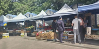 В Сеймском округе Курска организовали незаконную ярмарку - РИА Курск