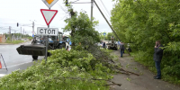 Для безопасности пешеходов и водителей - ТРК Русь