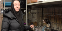 Монахиню, помогавшую животным, выгнали из перехода у ТРЦ в Воронеже - МОЁ! Online