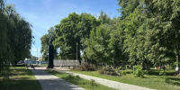 В сквере Металлургов Брянска спилят 34 заражённых златкой дерева - Газета Брянские новости