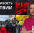 Льготы для многодетных предпринимателей: что предлагают депутаты «Справедливой России» - ЛенТВ24