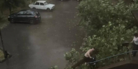 В Минводах дерево рухнуло на машину и окна, в Садовом прошел град: подробности шторма на Ставрополье - Bloknot-Stavropol.Ru