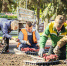В курских общественных пространствах высадили 31 тыс цветов за неделю - Городские Известия