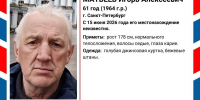 В Петербурге ищут мужчину в голубой куртке - Spbdnevnik.ru