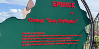 Глава Брянщины Егор Ковальчук высадил дерево в «Саду Победы» - РИА Стрела