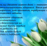 Уважаемые коллеги! - ТФОМС Томской области