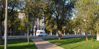 В благоустроенном по нацпроекту сквере в Краснооктябрьском районе Волгограда появится площадка для выгула собак - Комитет ЖКХ