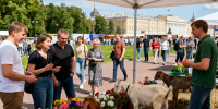 Чем заняться в Петербурге 20 и 21 июня: выставки, фестивали, прогулки - Peterburg2.Ru