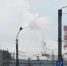Фото: Череповец-Поиск - Cher-Poisk.Ru