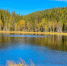 В Москве сократилось число разрешенных для купания водоемов - MosRegToday.Ru