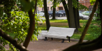 Садовники Петербурга начали летнюю формовку живых изгородей - Spbdnevnik.ru