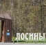 В московской части национального парка «Лосиный остров» обнаружили восточноевропейскую полевку - Департамент природопользования