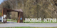 В московской части национального парка «Лосиный остров» обнаружили восточноевропейскую полевку - Департамент природопользования