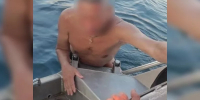 В крае спасены заблудившиеся в лесу женщины с ребёнком и любитель пьяного плавания - ИА Запад24