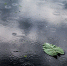Фото © magnific.com - KaspyInfo.Ru