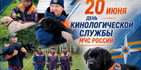 30 лет кинологической службе МЧС России - МЧС Амурской области