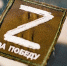 Фото: mr_tigga/Shutterstock/Fotodom - Ямал-Медиа