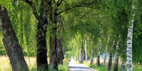 В Пензе ищут 86-летнюю Светлану Оболенскую - Пенза-Обзор
