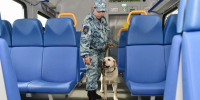JPG Файл - ОМВД Республики Татарстан