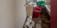 B частном доме во Bсеволожске нашли наркоплантацию - 47 новостей