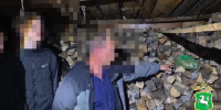 Тайник в хозяйстве: что обнаружили полицейские во время обыска у жителя Колпашева - ГТРК Томск